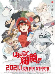 Работа клеток (1-2 сезон) (2018)