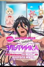 Слегка настойчивая тёмная эльфийка последовала за мной из другого мира (2025)